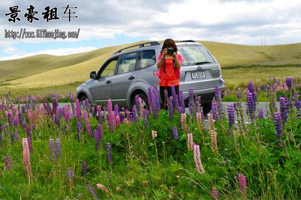 成都自駕租車(chē)多少錢(qián)