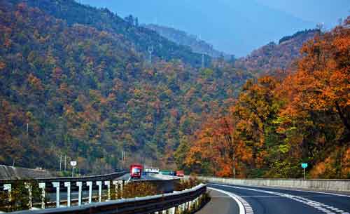 秋游正當(dāng)時(shí)！成都租車旅游選哪一條？